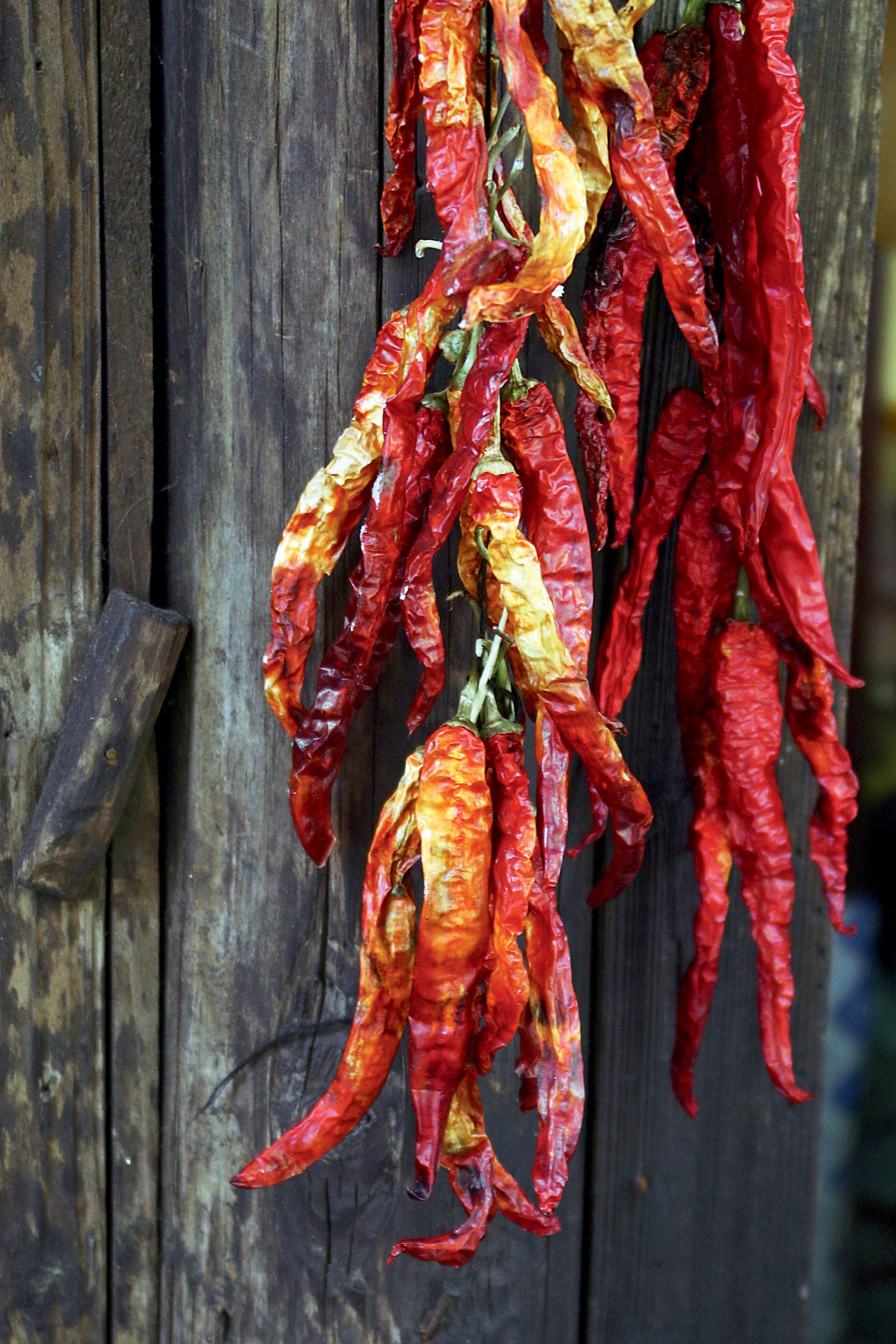 四川、贵州人先让让，真正爱辣的人在湘西