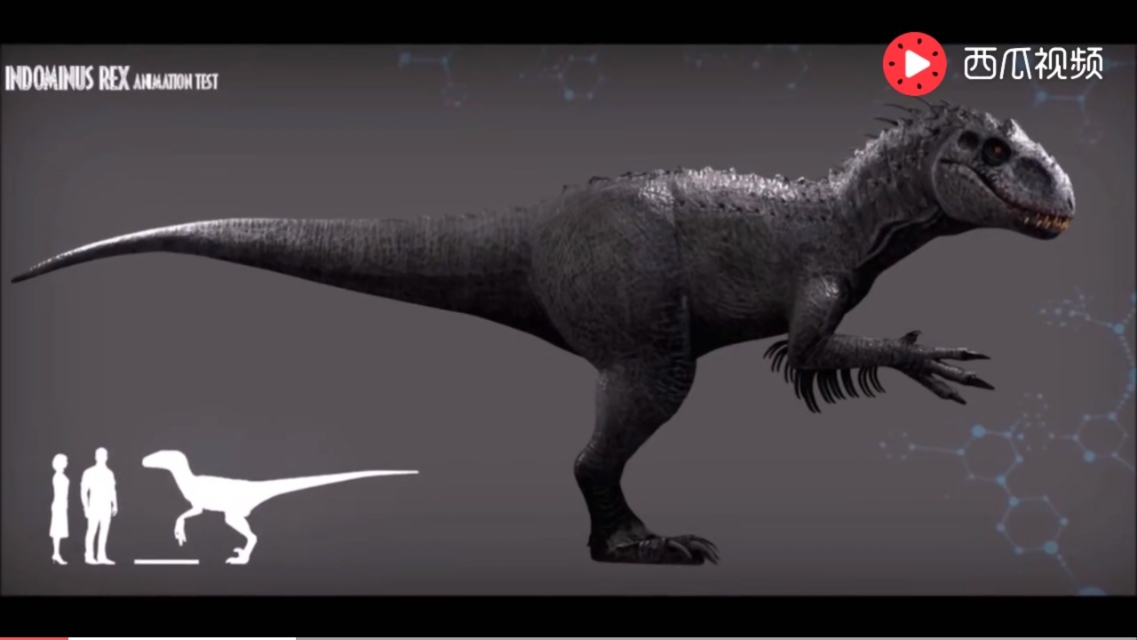 《侏罗纪公园3》棘龙打败霸王龙：主角光环实力碾压？