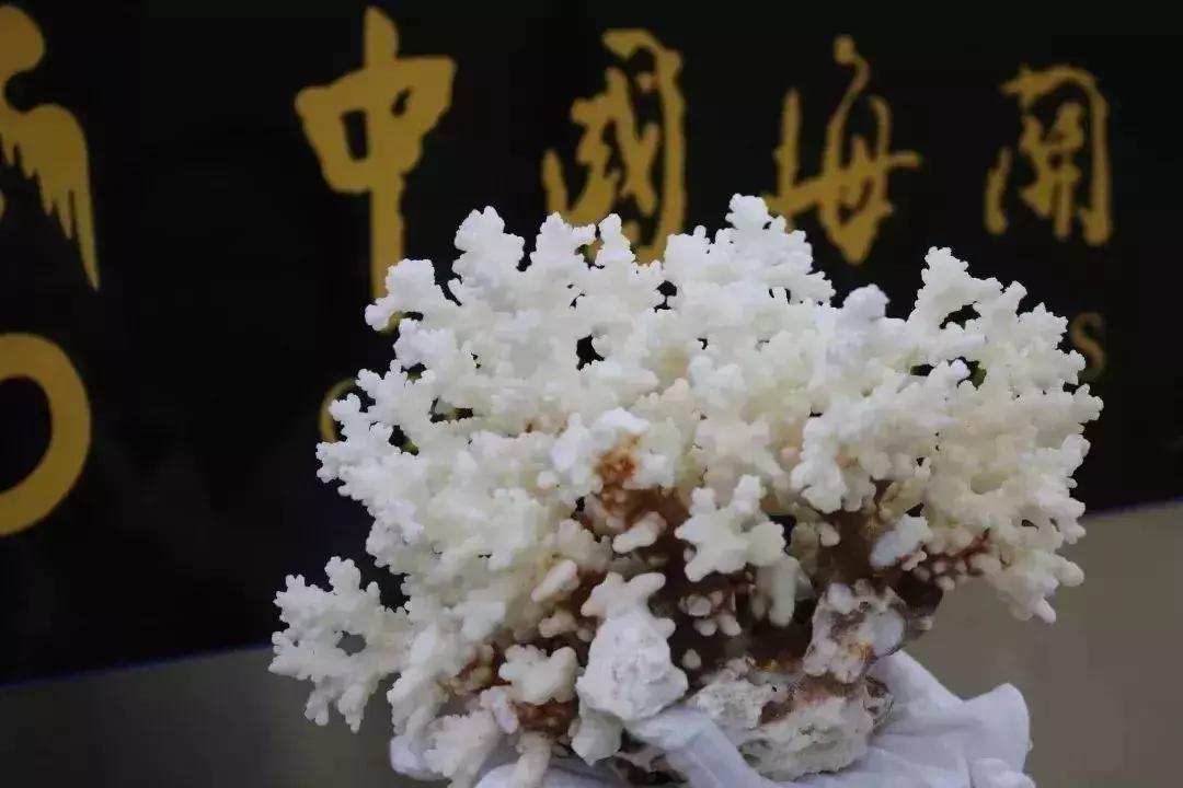 去香港带什么会被罚款,深圳人去香港可以呆多久