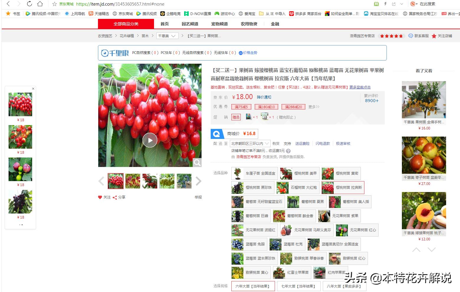 网上的假果树苗,网上怎么老是买到假树苗