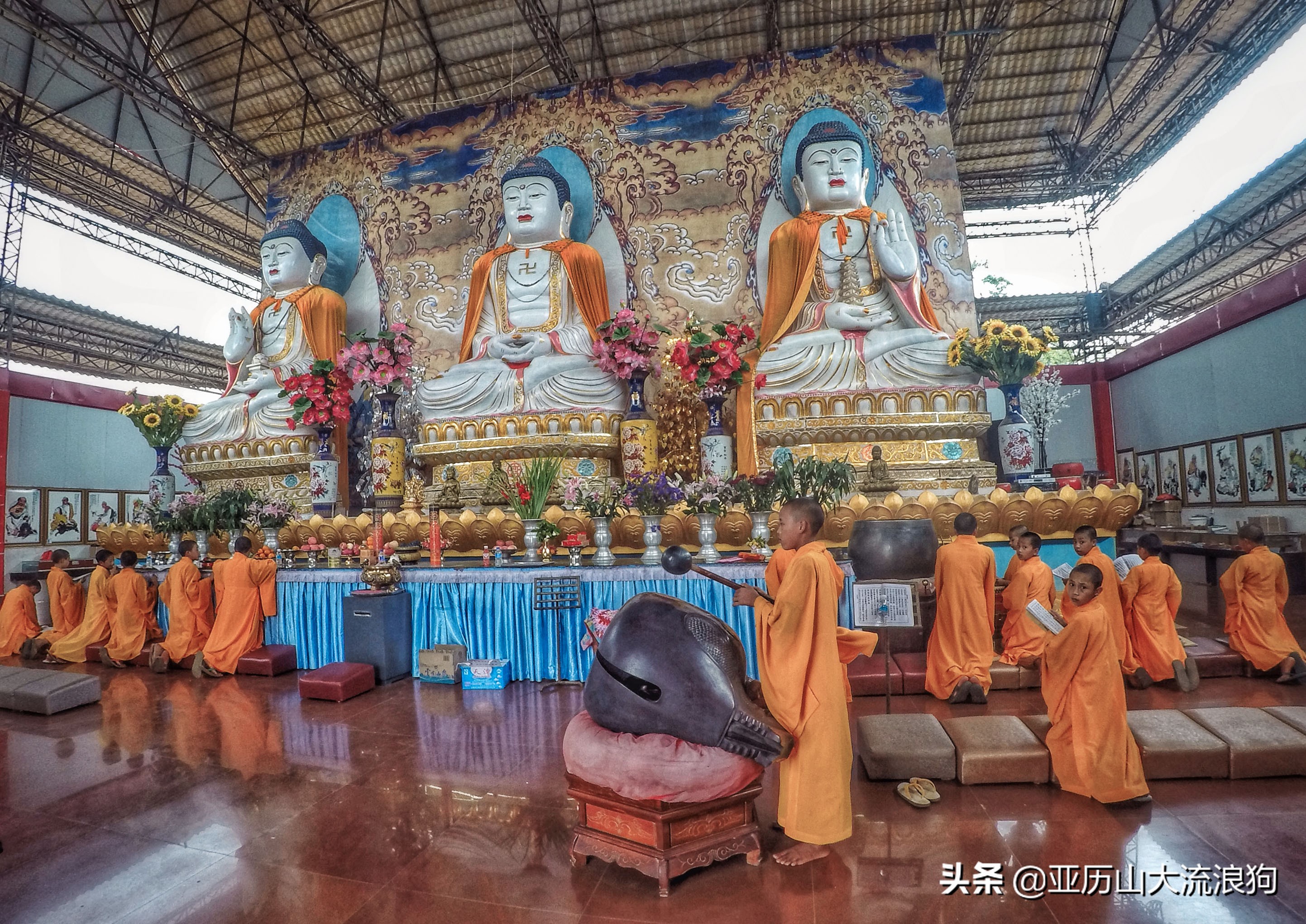 我流浪到中缅边境，发现一座奇特的寺庙，修行的僧人竟都是孩童