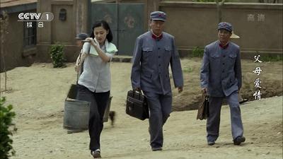 父母爱情为何拿奖,父母爱情总共获得几回奖