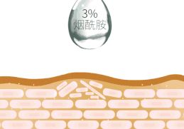 用烟酰胺脸毛会越来越长吗,烟酰胺停止使用脸上的黑毛会好吗