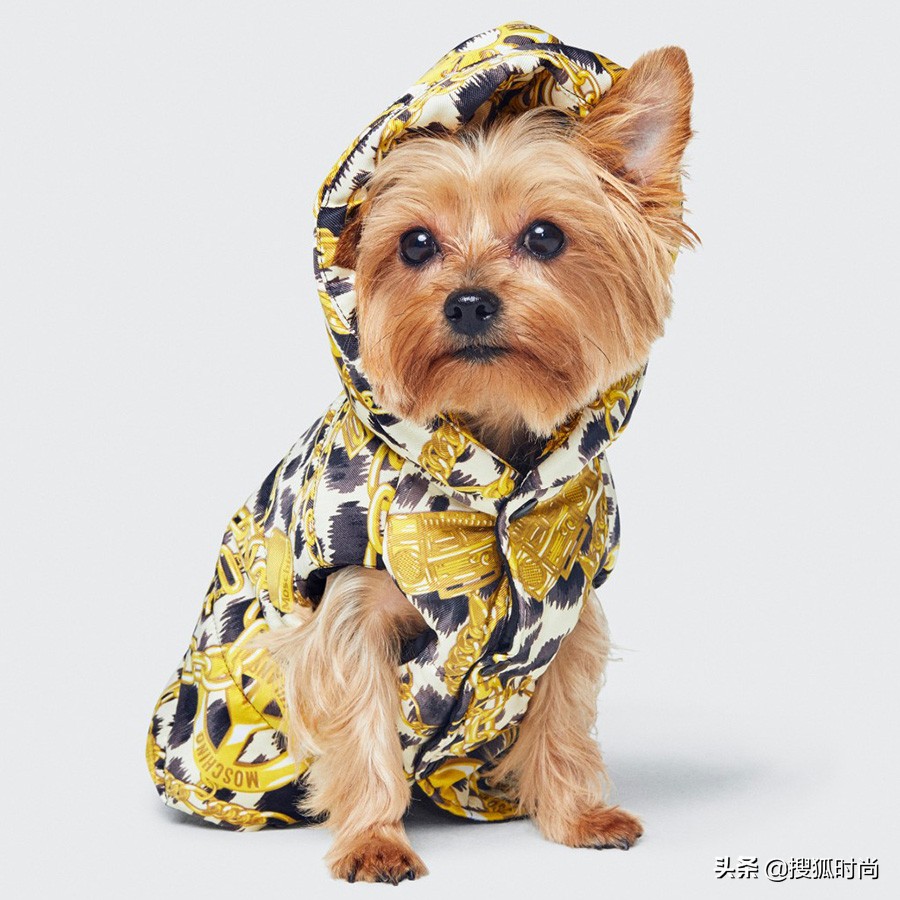 李宇春、杨幂同款仙女裙，千元就能拿下