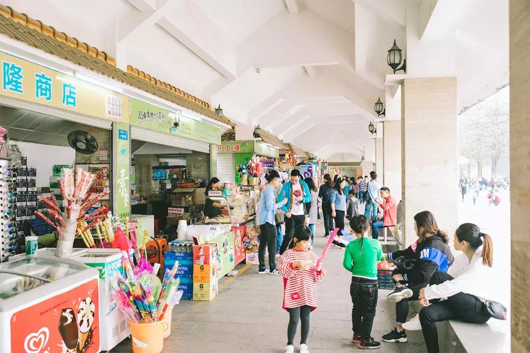 深圳这座城市很美,深圳这座城市风景太美了