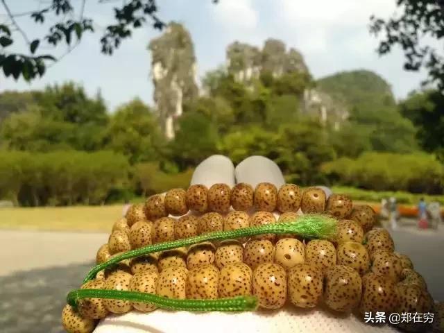 文玩刷子价格一览表,鸡蹬子文玩把件价格