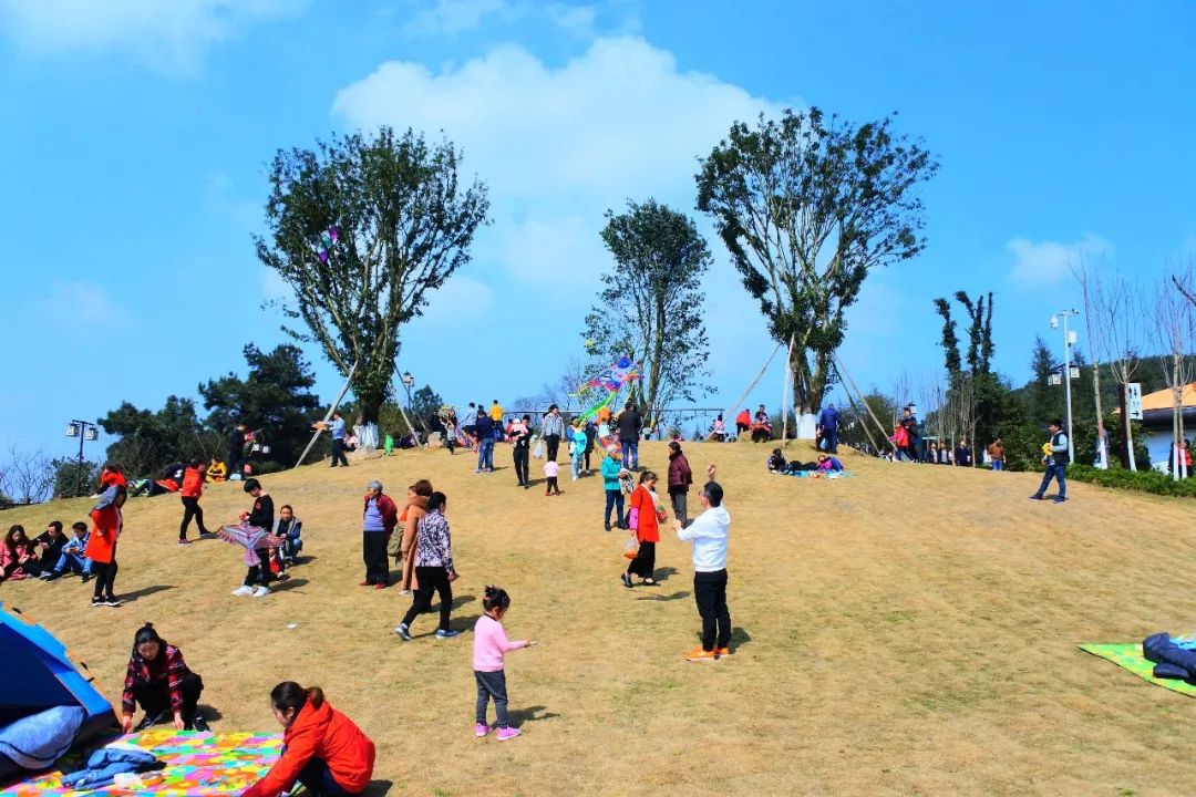 重庆铁山坪森林公园有什么好玩的,重庆赏花一日游最佳去处