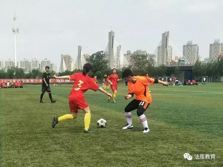2019年沈阳市青少年校园足球比赛,2019辽宁省青少年足球锦标赛