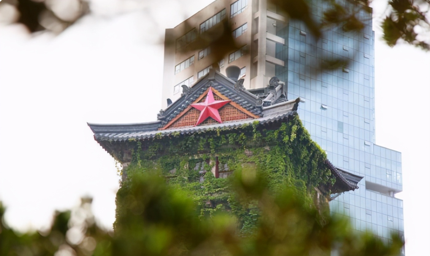 中国数学大学最新排名,中国有三所名校清华北大甘农大