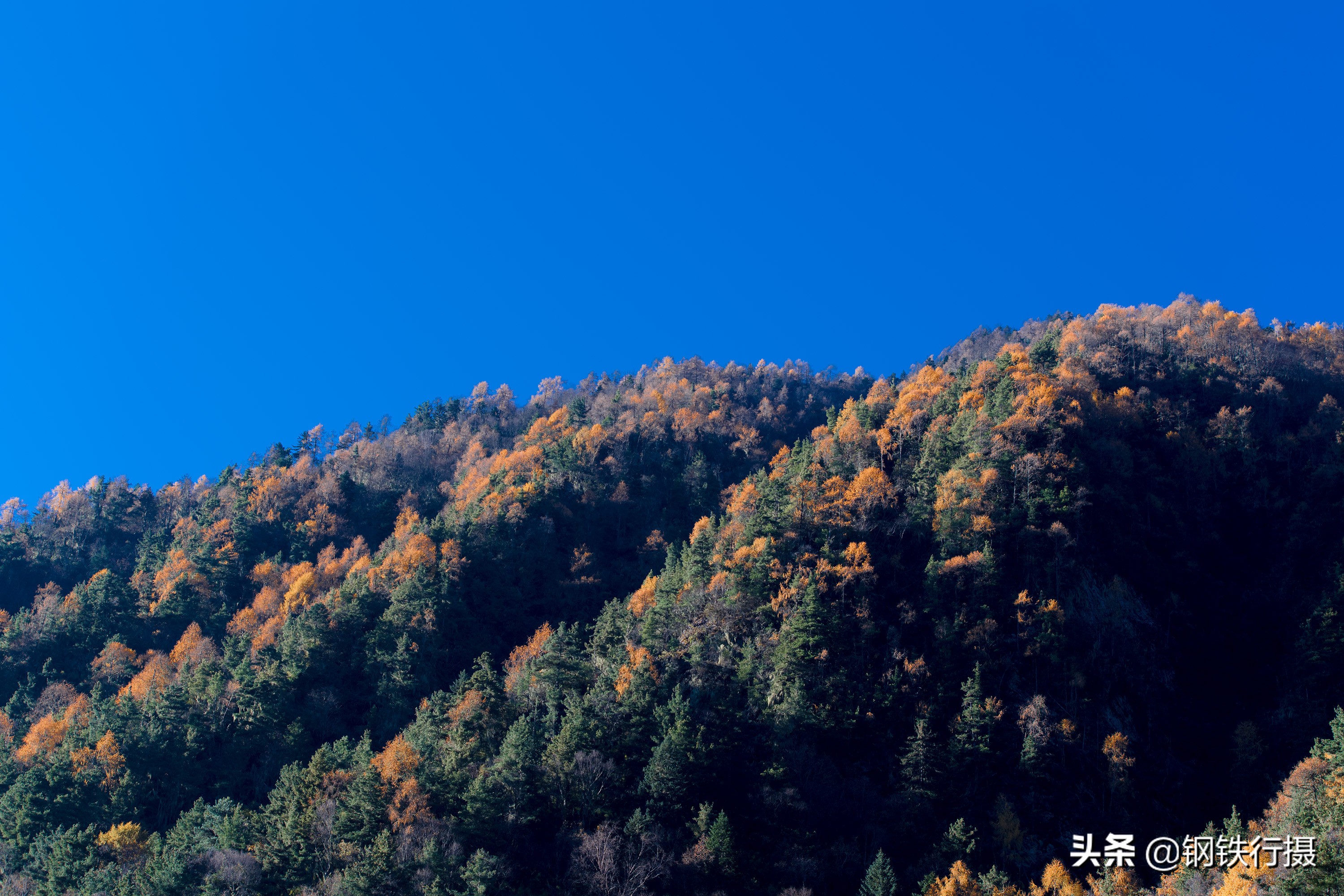 木格措秋景视频,木格措景区秋天风景