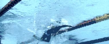 游泳世界冠军溺水身亡,倒数第一的奥运会冠军