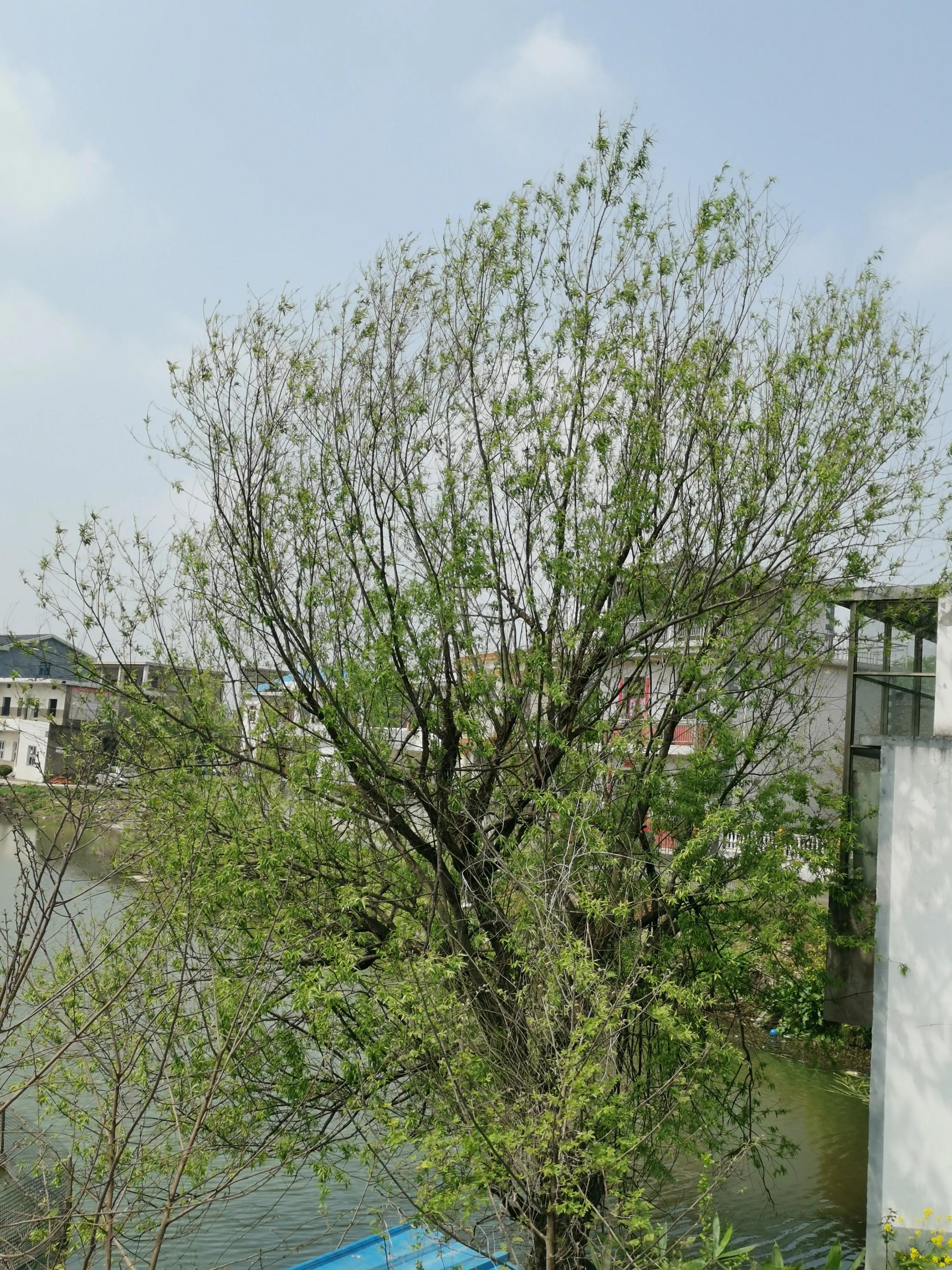 家乡诡异传说,家乡神话故事