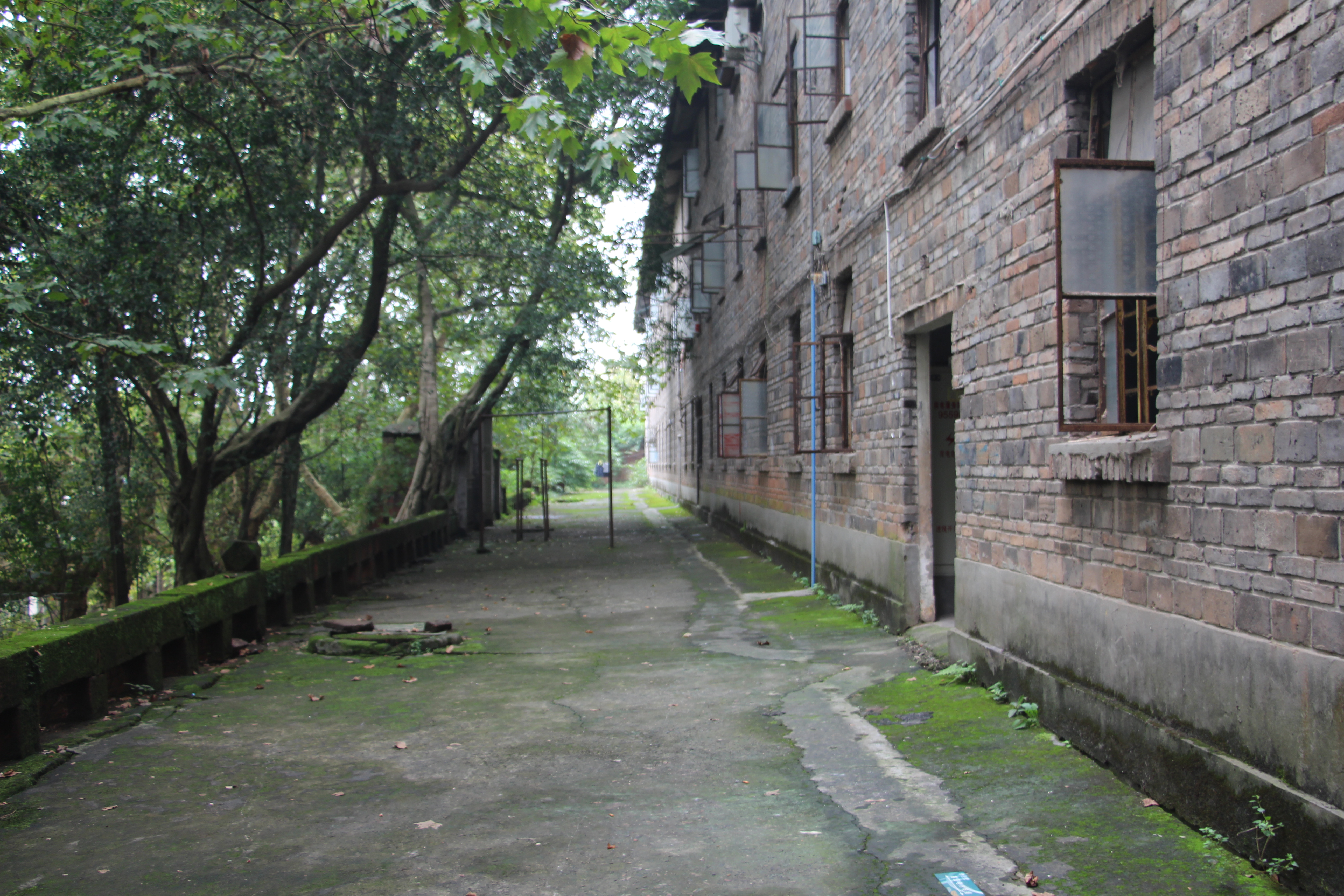 一座有光影又有历史的老厂――四川长征制药厂