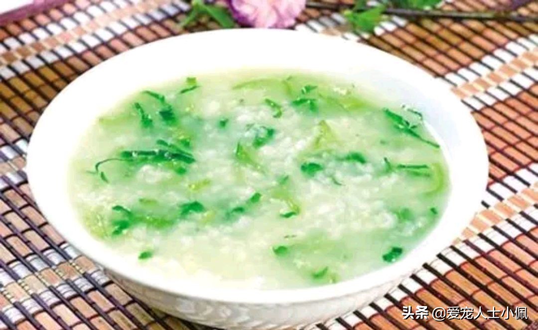 养狗需要具备哪些条件,养狗需要哪些条件