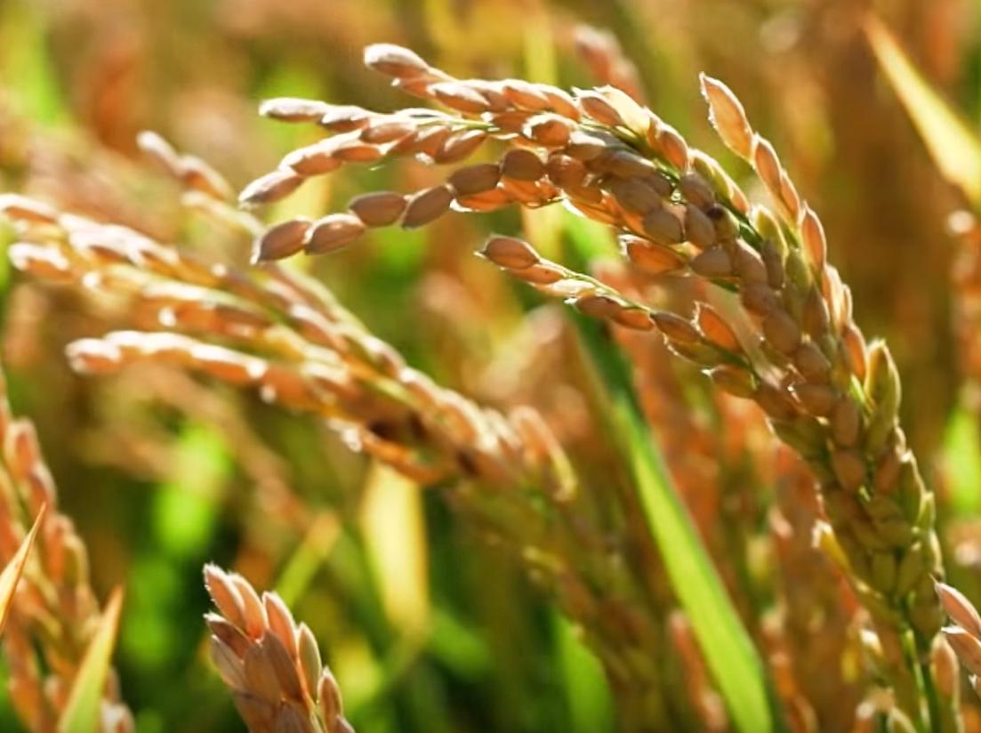 美联储负债最新动态,美国负债和美联储负债的关系