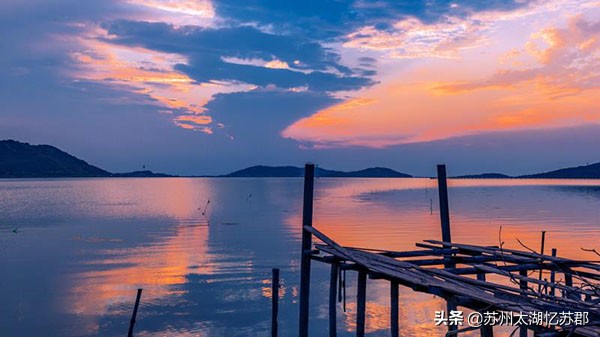 鲜嫩多汁的奉贤黄桃,苏州黄桃现在熟了吗