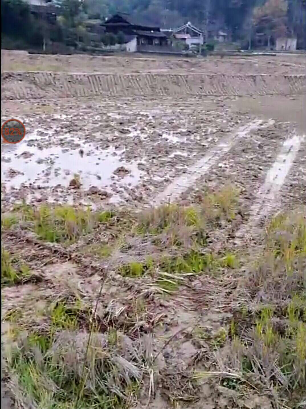 新型精准扶贫农业发展模式,农业扶贫致富新模式