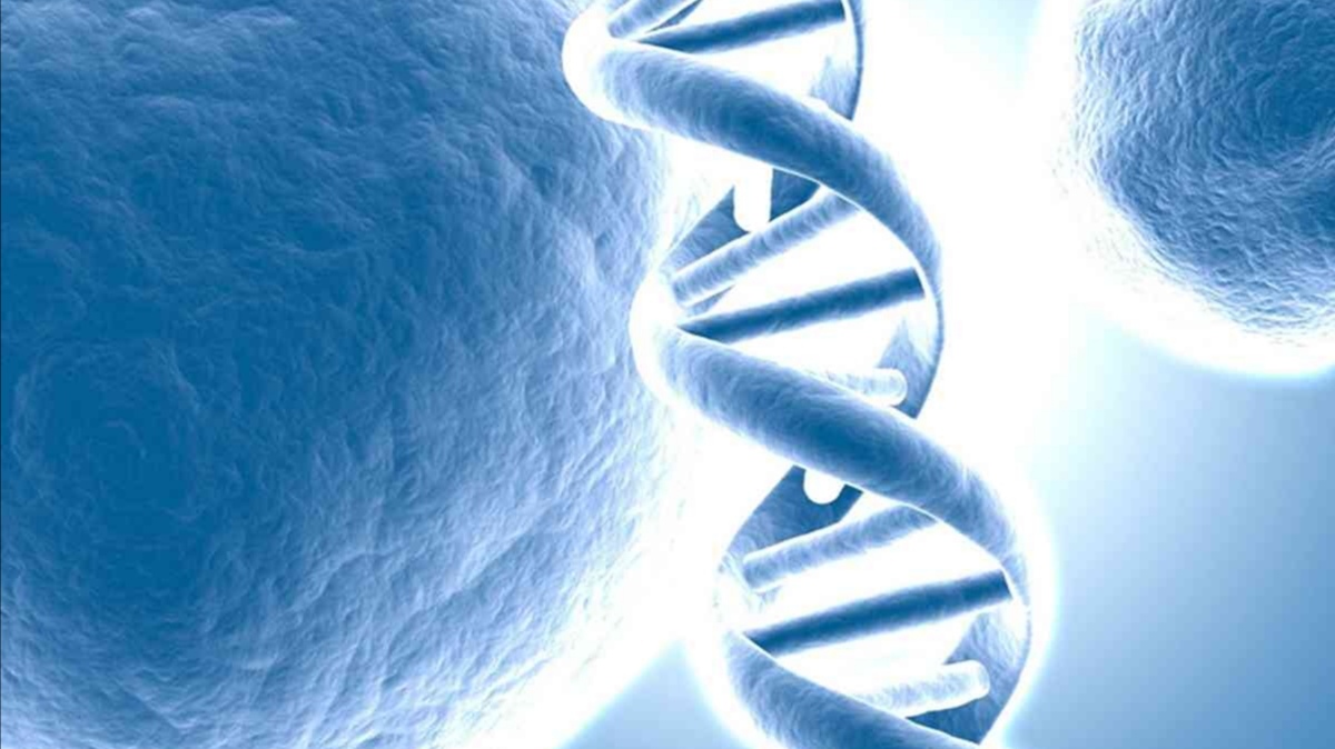 胃癌，也能靶向治疗吗？有种基因与治疗有关，与生存时间也有关！