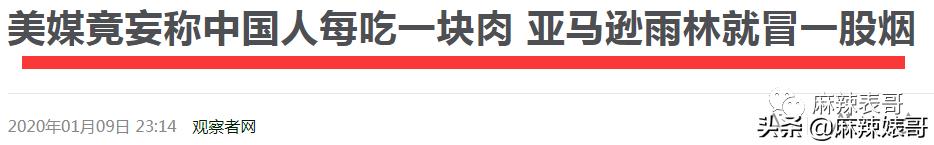 关晓彤假装吃植物肉澄清视频,关晓彤为人造肉宣传翻车