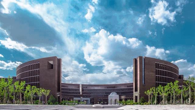 津南区打架,津南区打架视频