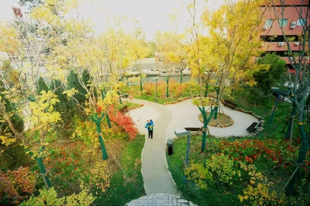 加强精细化管理提升城市治理,以绣花功夫擦亮文明城市金字招牌