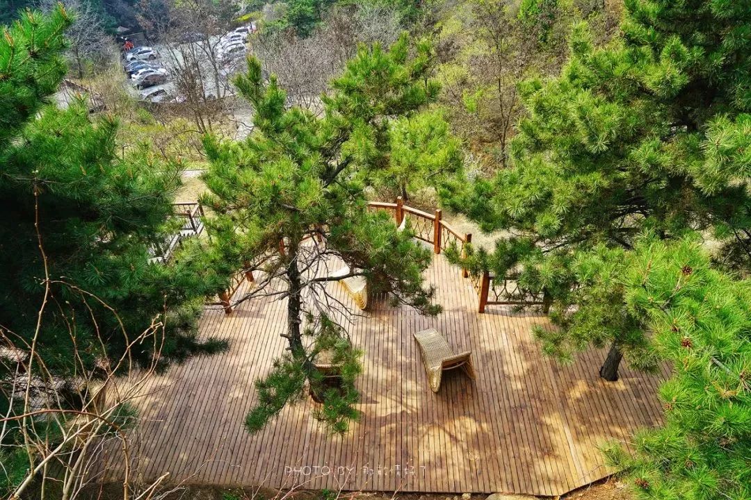 北京京郊童话树屋,台湾神奇的树屋