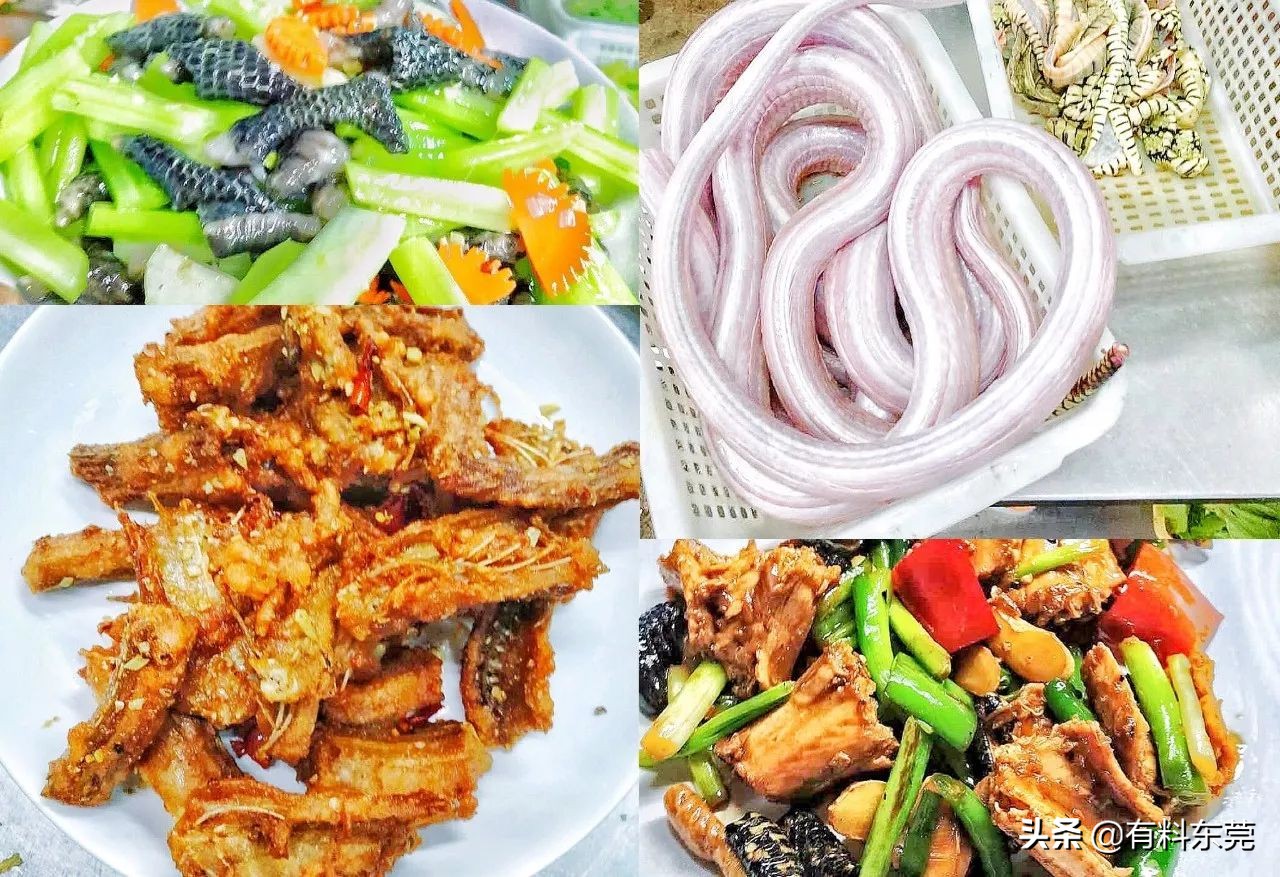 东莞某高校门口有间大排档，让你心甘情愿吃到怀孕!!