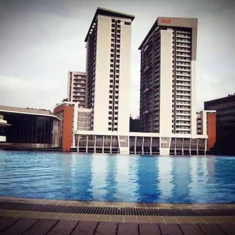 好玩便宜的磁铁,又好玩又便宜的磁铁