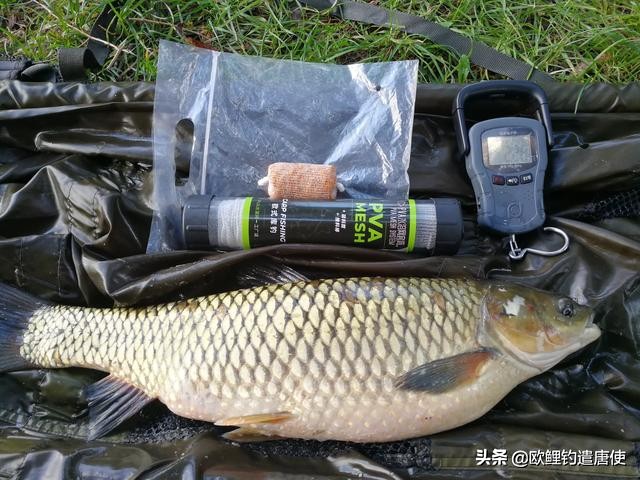 欧洲疫情催生钓鱼热？名企推新手套装钓大鲤鱼