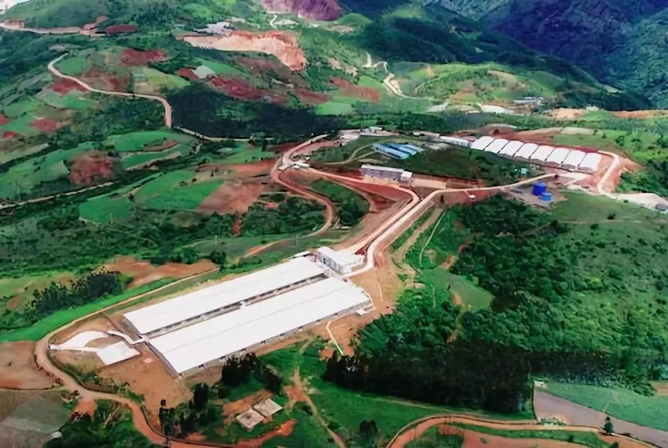 德康农牧、周黑鸭、昊王米业……这些农业产业化国家重点龙头企业，都有哪些成功经验？