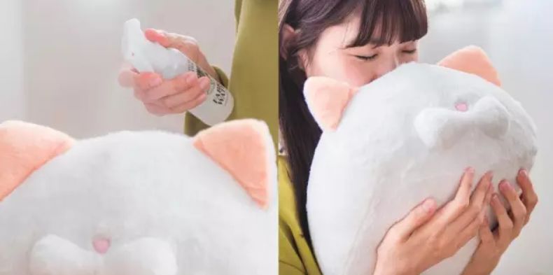 360度“云吸猫”?日本这家猫咪商店简直爱了