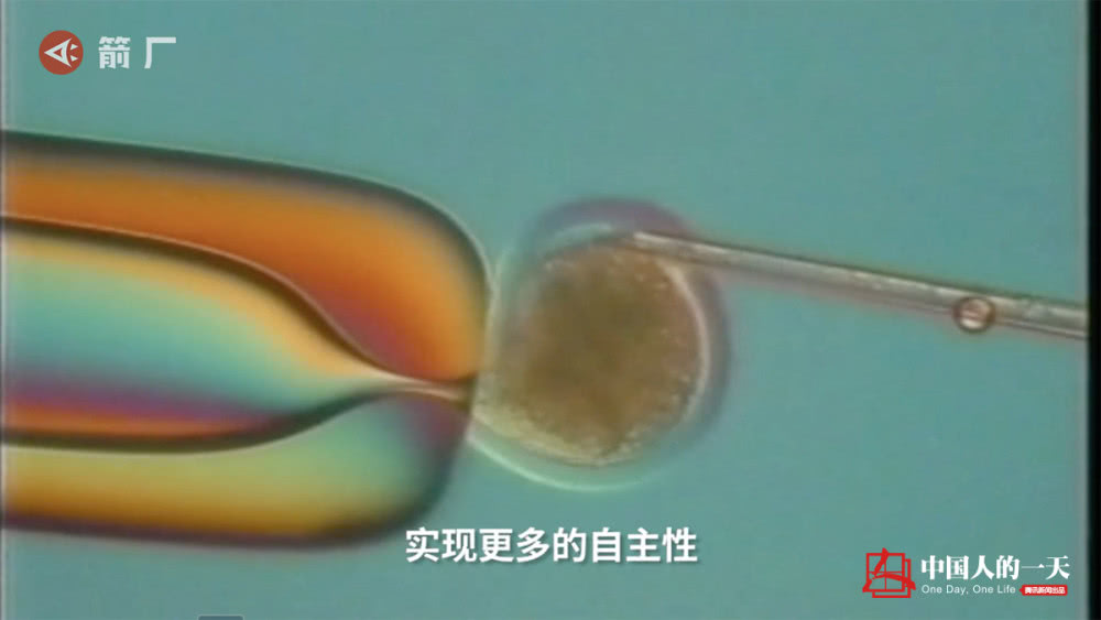 32岁去哪里冻卵,24岁女孩在国外冻卵