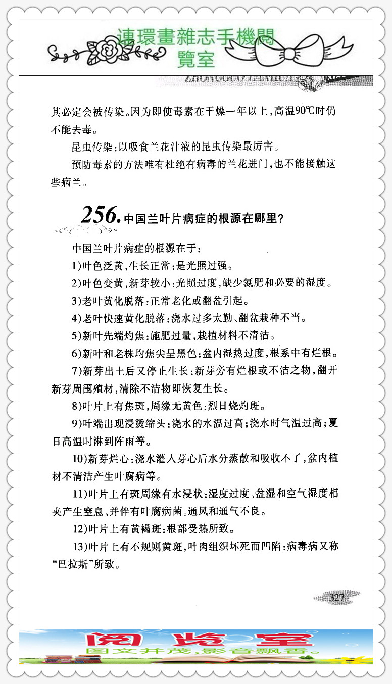 中国兰花品种大全书,中国兰花品种名录图片