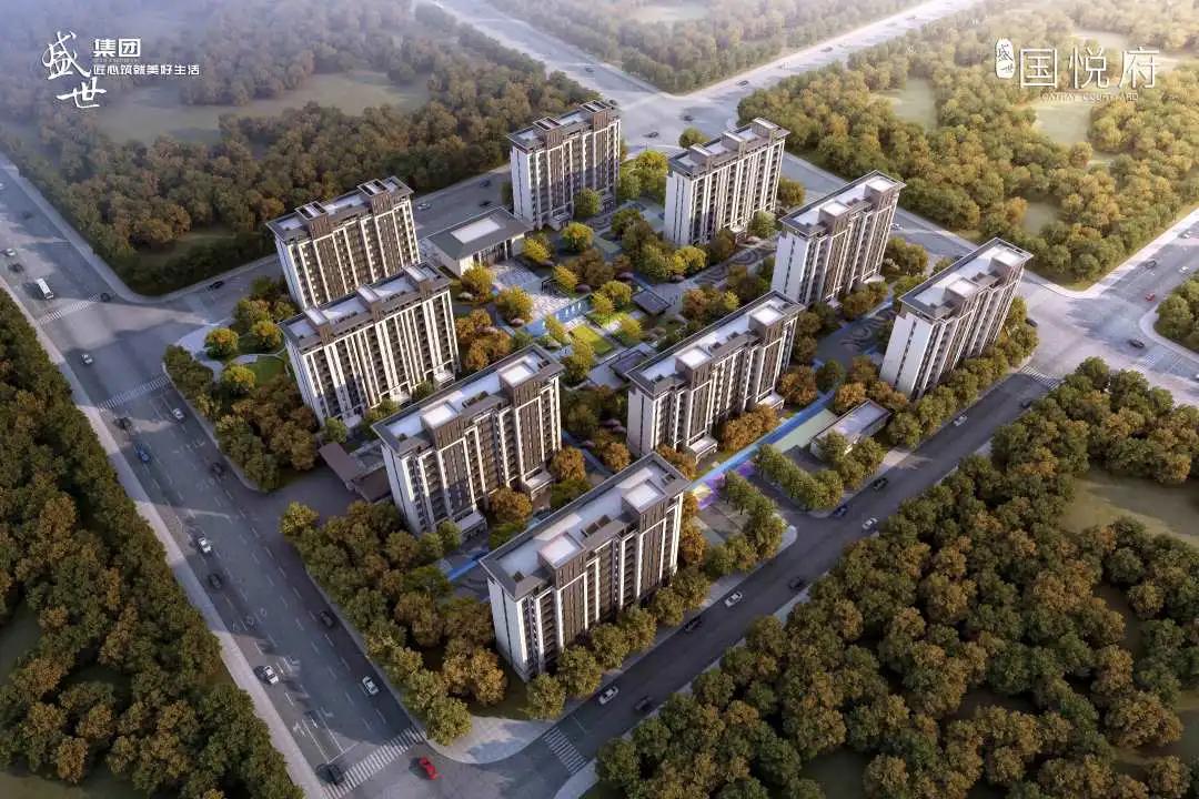 盛世国悦府,盛装绽放