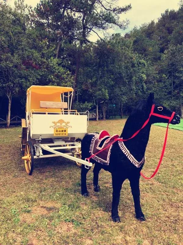 花山谜窟星期三免门票怎么预约,抓紧时间来赏秋