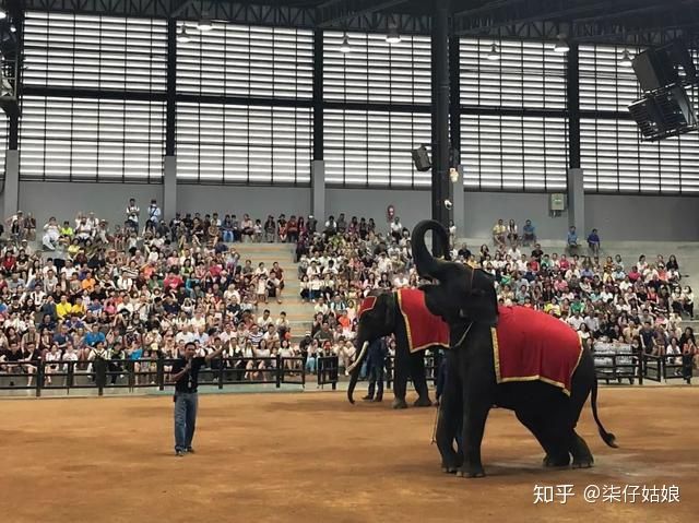 毕业泰国旅行景点推荐,大学毕业去泰国旅游