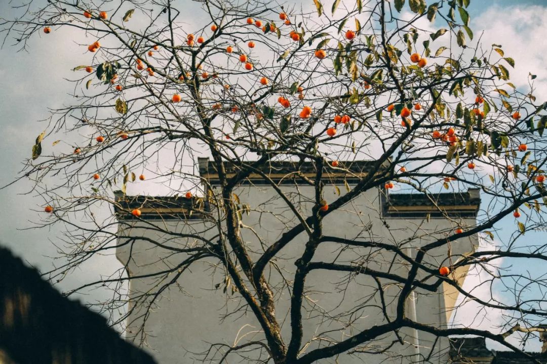 徽州赏秋三日游自驾游攻略,小众徽州赏秋村落