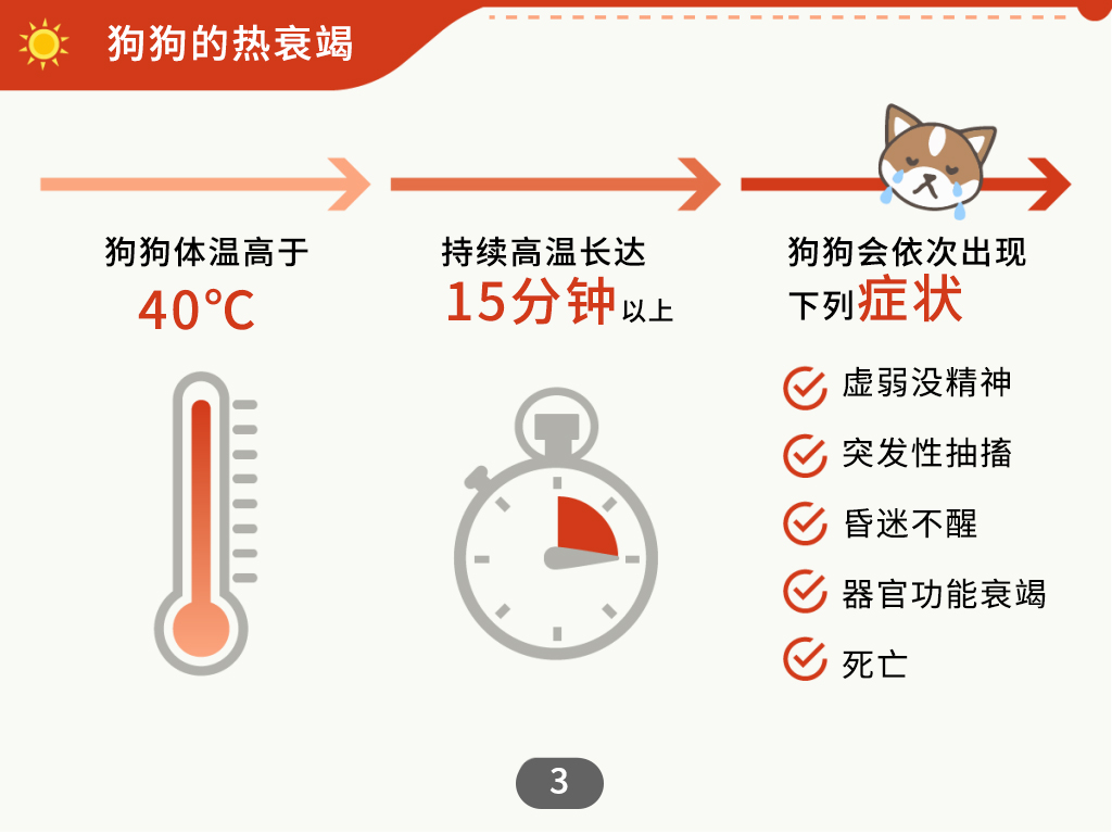 中暑怎么给狗狗快速降温,狗狗到了夏天中暑一直喝水怎么办