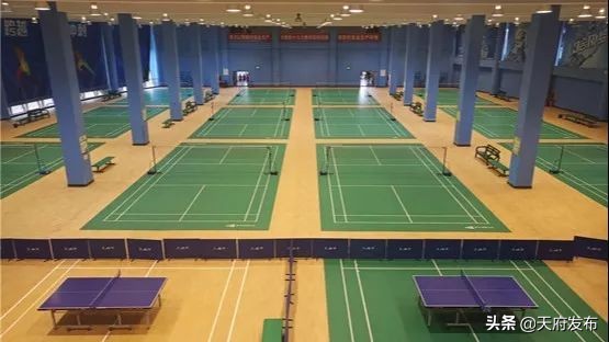 世警会游玩视频,世警会时间安排表