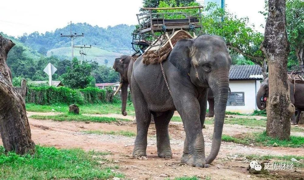 七夕马云帮忙找对象？休产假员工被要求手写销售心得
