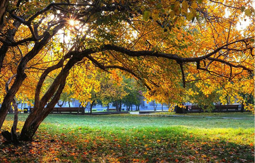 尼康d5300拍摄欣赏,尼康d5300一镜走天下