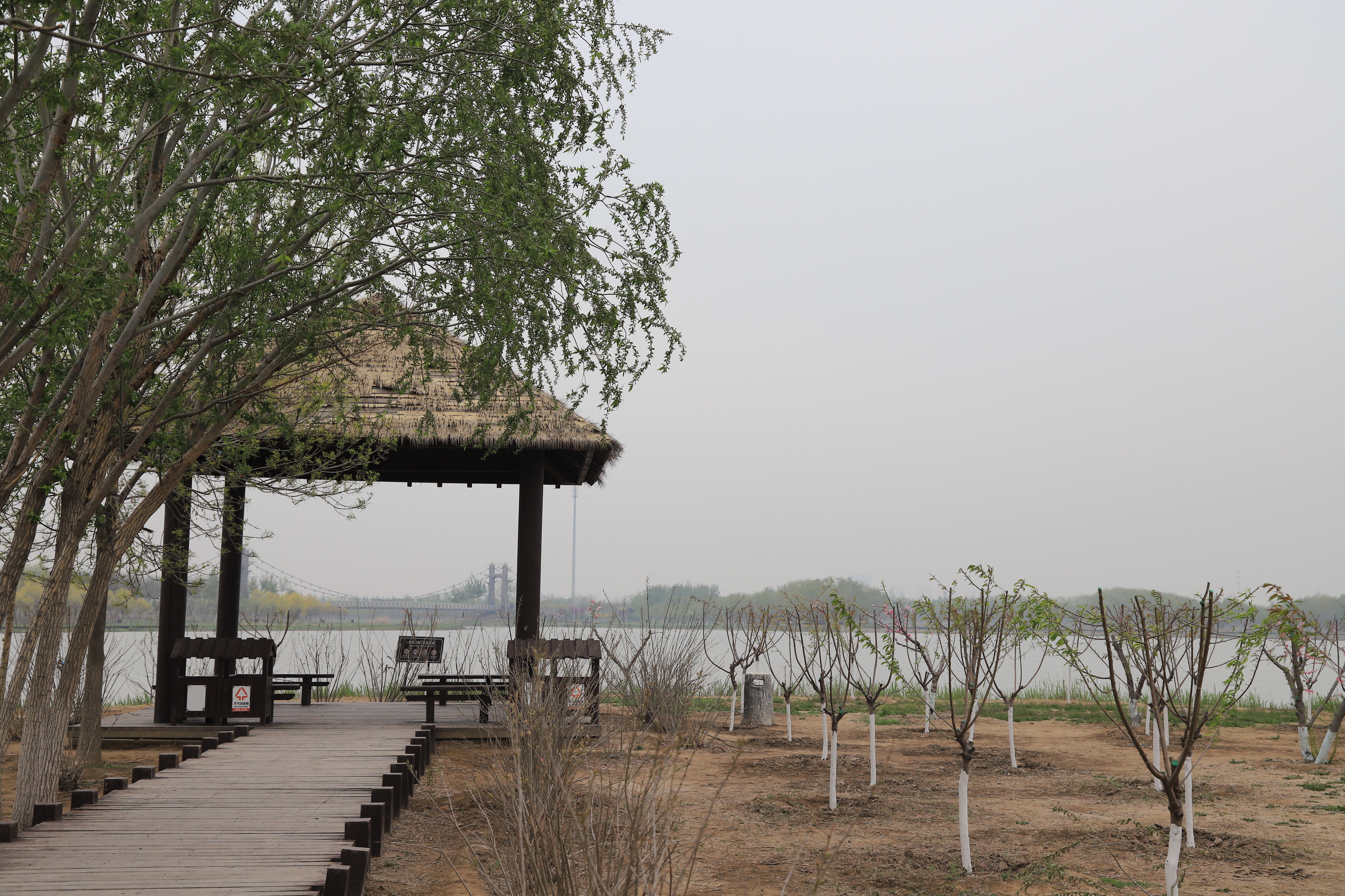 新奇好玩的公园,西青郊野公园开放最新通知