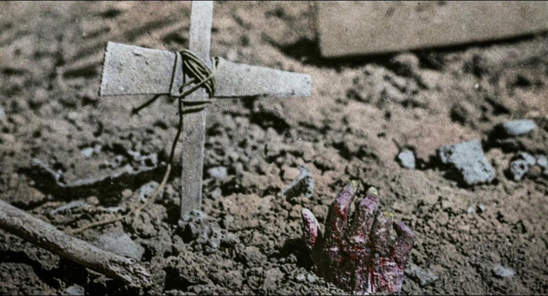 人不能被忘记的电影,不该被遗忘的人永远都不会被忘记