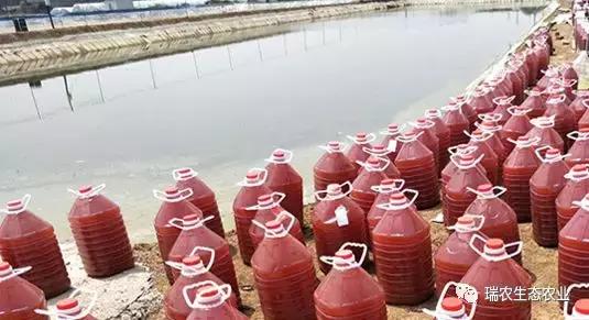 水产养殖用微生物,水产养殖的微生物怎样培养