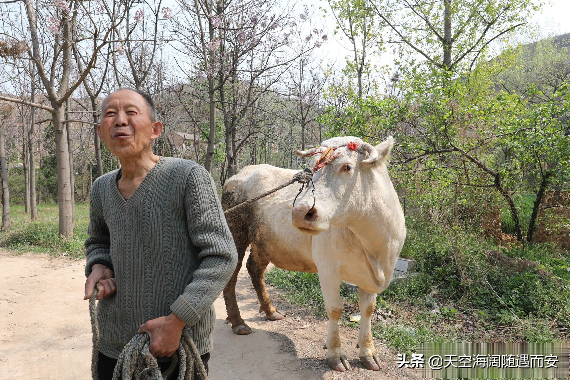 山西8旬大爷在农村做无本生意，3年净赚3万元，看他干的啥营生