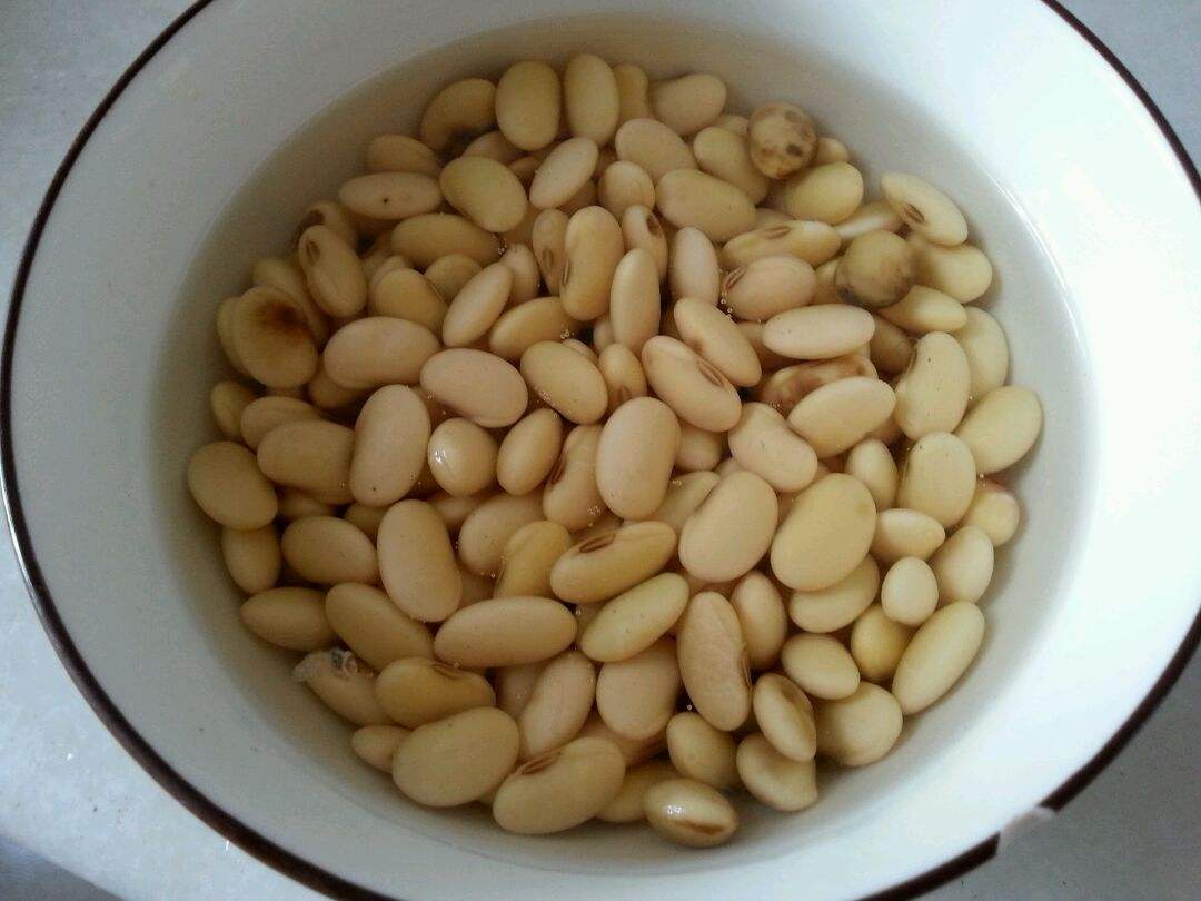 什么花卉适合用煮熟的黄豆当肥料,黄豆怎么处理给花做肥料