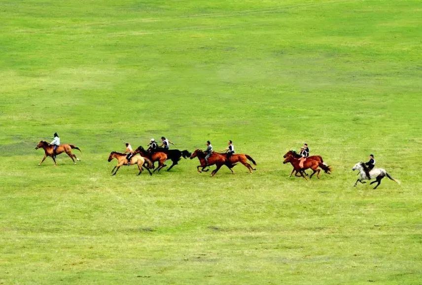 八月的呼伦贝尔大草原,辽阔的呼伦贝尔大草原风景