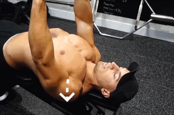 用哑铃做全身力量训练有哪些动作,一副哑铃如何练遍全身肌肉