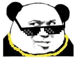 菊花里塞仙人球是什么感受？