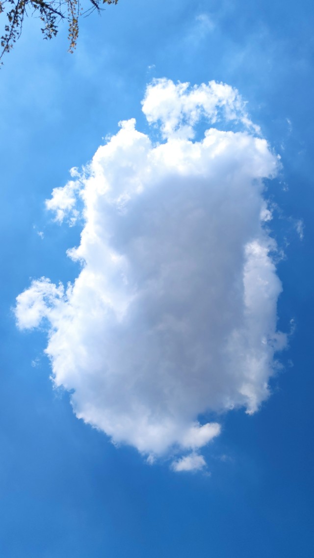 阜阳蓝让我看到了家乡的宏伟壮观的蓝图！